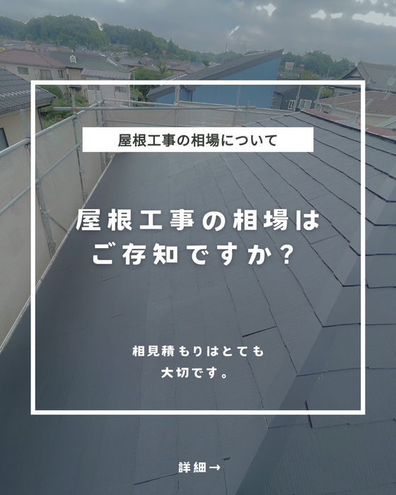 画像247