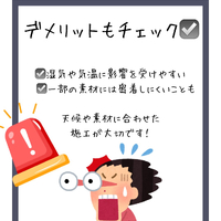 画像254