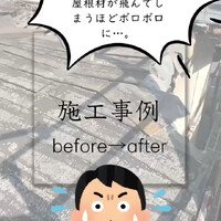 画像259