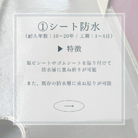 画像266
