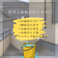 画像284