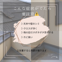 画像285