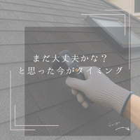 画像287