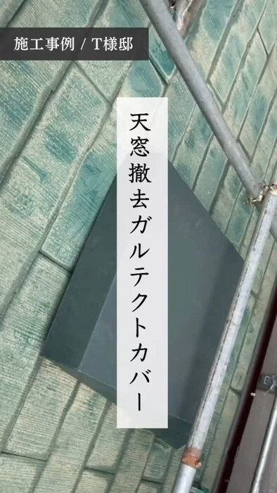 画像290