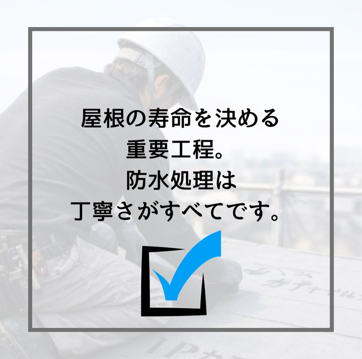 画像298