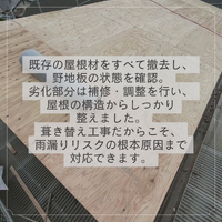 画像305