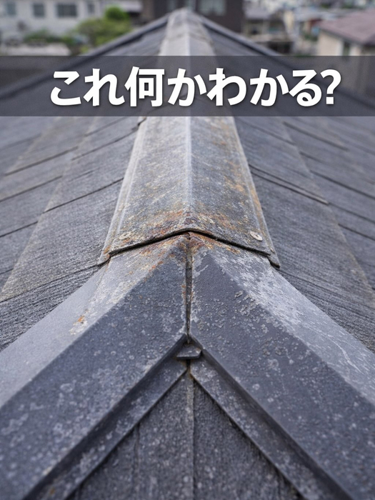 画像332