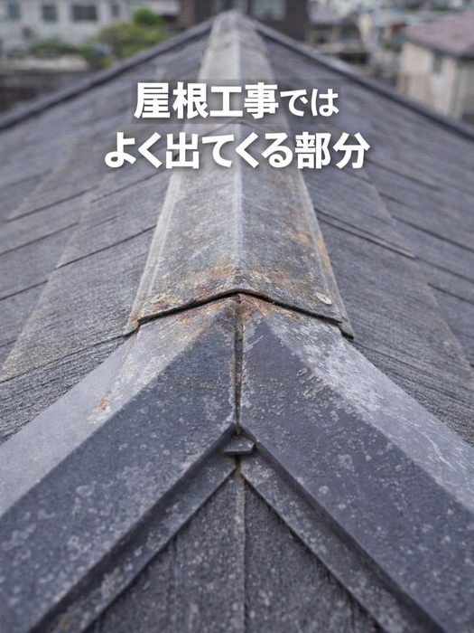 画像333