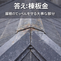 画像334