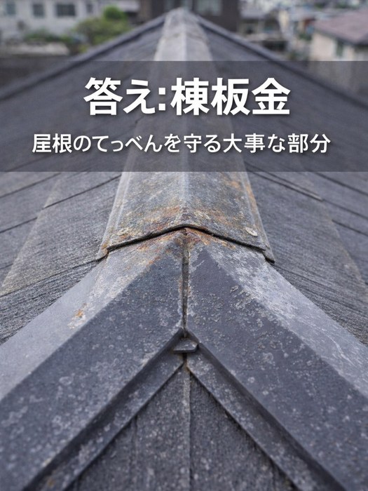画像334