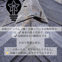画像335