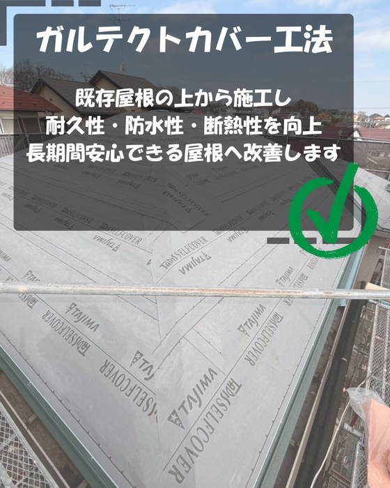 画像363