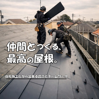 画像366