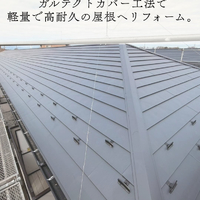 画像374