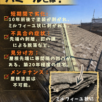 画像394