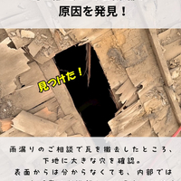 画像411