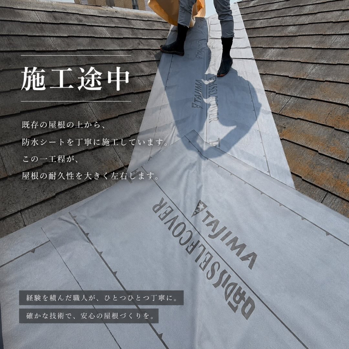 画像478