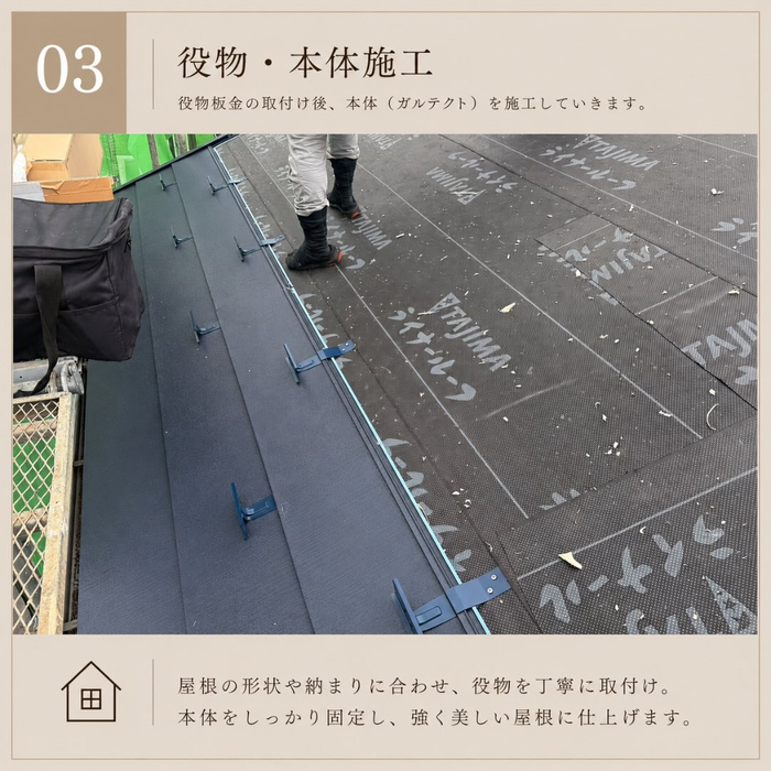画像494