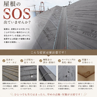 画像542