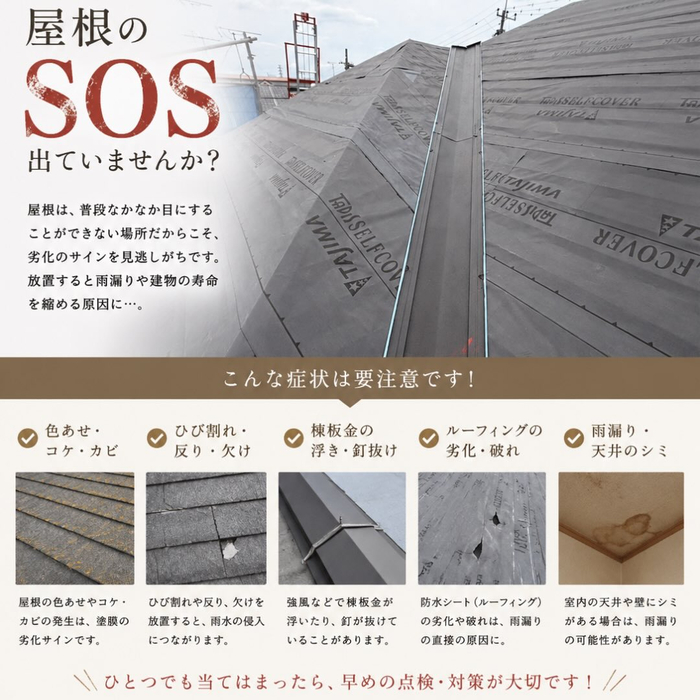 画像542